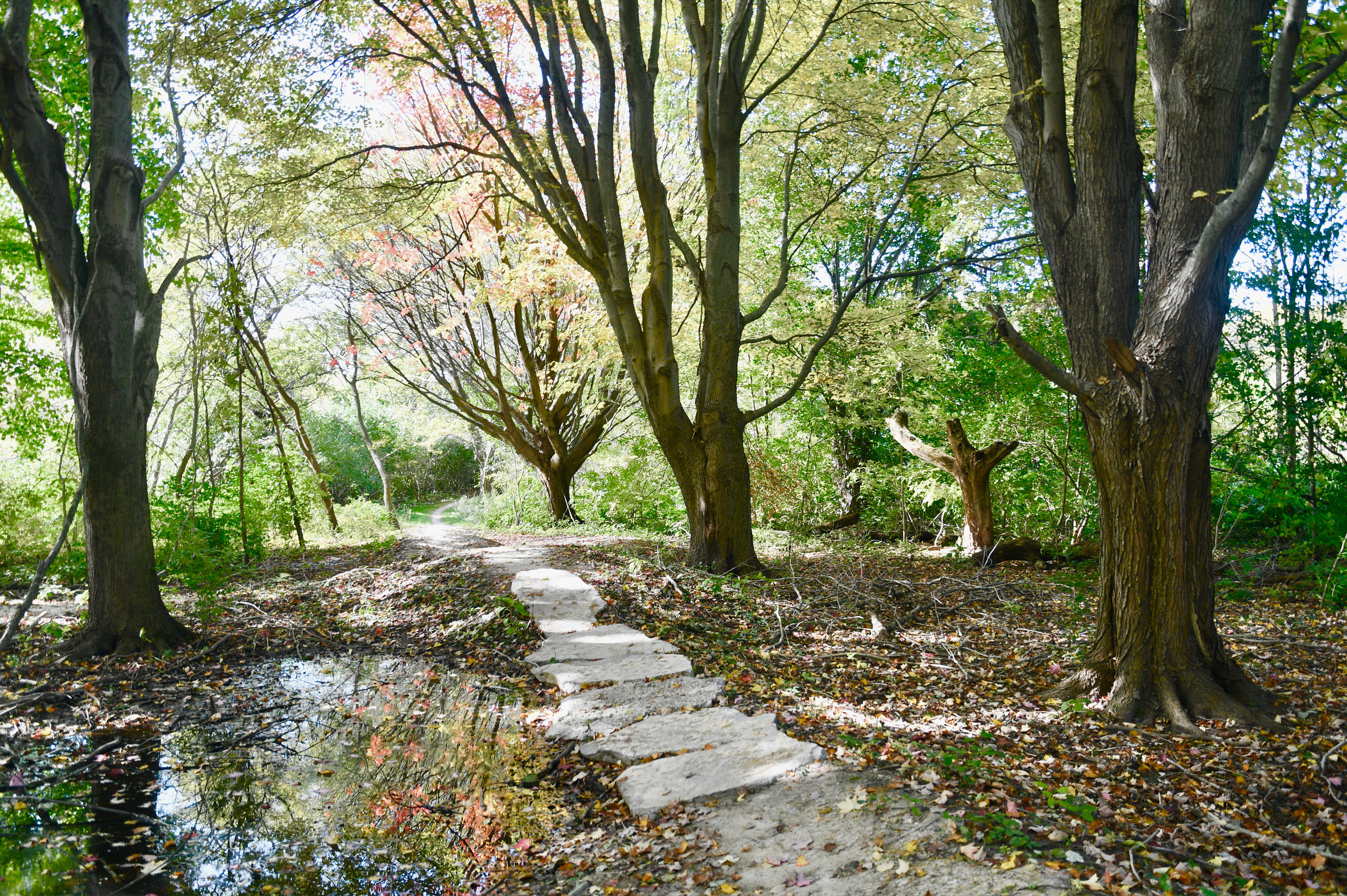 Lakeview Trail